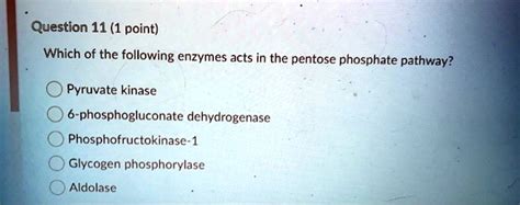 SOLVED Question 11 1 Point Which Of The Following Enzymes Acts In