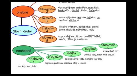 Slovni Druhy Pracovni List