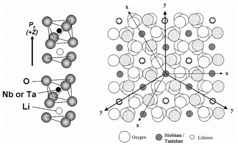 Schematics Of The Crystal Structure Of Linbo 3 And Litao 3 Download Scientific Diagram