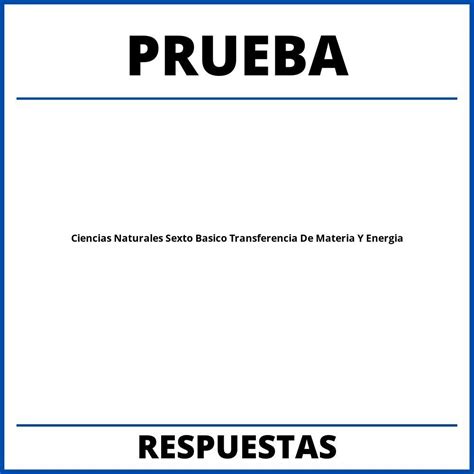 Prueba De Ciencias Naturales Sexto Basico Transferencia De Materia Y