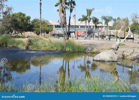 La Brea Tar Pits Museum Downtown Los Angeles Near Hollywood Editorial Stock Photo - Image of ...