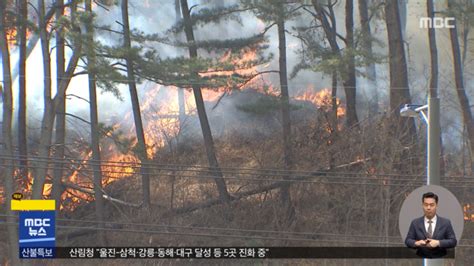 울진·삼척 산불 나흘째‥피해 면적 계속 늘어