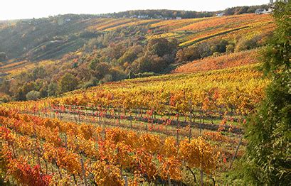 Weingut Kopfensteiner Deutsch Schützen