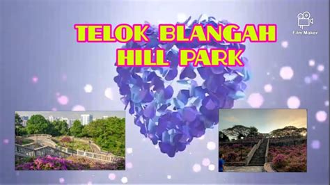 TELOK BLANGAH HILL PARK YouTube