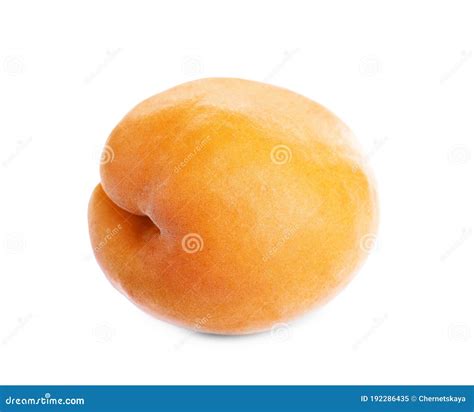 Delicious Fresh Ripe Apricot Isolated Stock Image Image Of Apricot