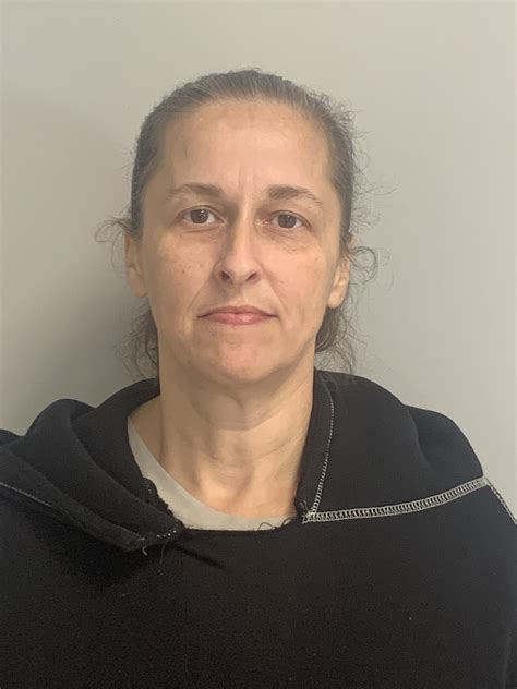 Michelle King Violent Or Sex Offender In South Bend IN IN