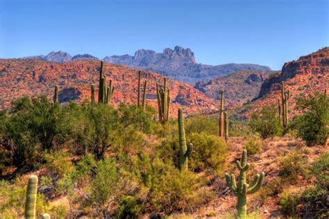 Heading To Arizona And A Drive Through The Sonora Desert Day 99