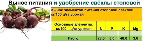 Мочевина как удобрение для картофеля