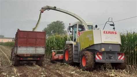 Trinciatura Mais Claas Jaguar New Holland Ts A Fiatagri