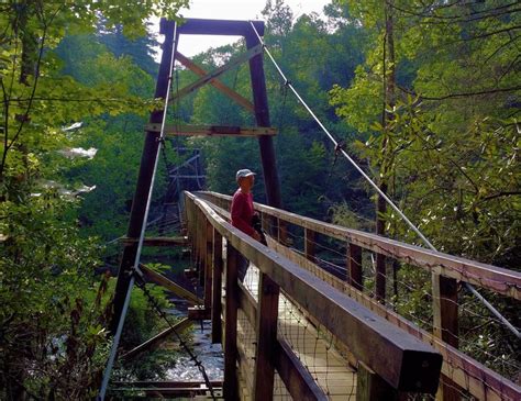 Swinging Bridge over the Toccoa River | Swinging bridge, Toccoa, River