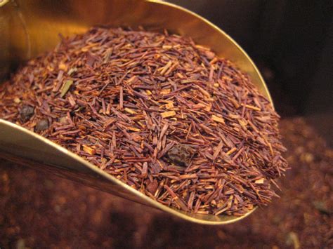 Rooibos Extraordinary Herb Receives Due Distinction Vision Times