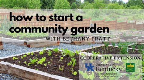 How To Start A Community Garden Youtube