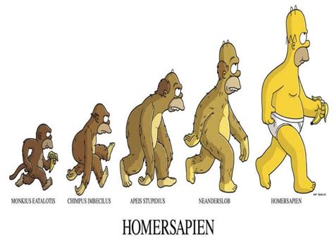 Evolution Presentation: Homology | PPT