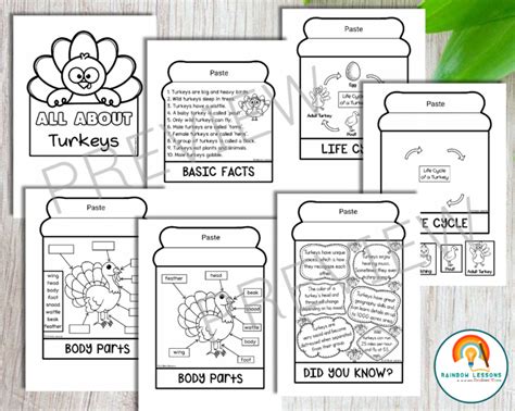 All About Turkeys Flipbook Turkey Facts Booklet Turkey Craftivity