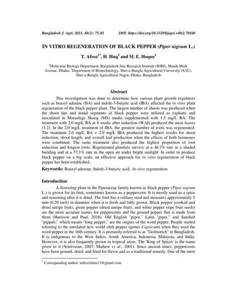 PDF In Vitro Regeneration Of Black Pepper Piper Nigrum L