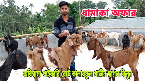 নাঈম ভাইয়ের হাই কোয়ালিটি কালেকশন। অবিশ্বাস্য পাইকারি রেটে কালারফুল