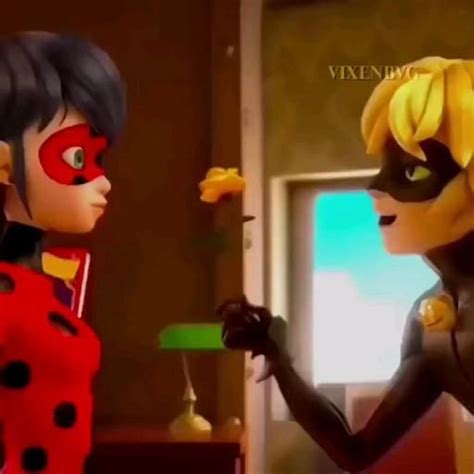 Ladynoir In The New York Special ️🖤 Video Miraculous Ladybug Anime