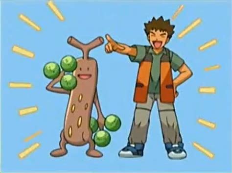 File Brock And Sudowoodo Png Bulbapedia The Community Driven Pokémon