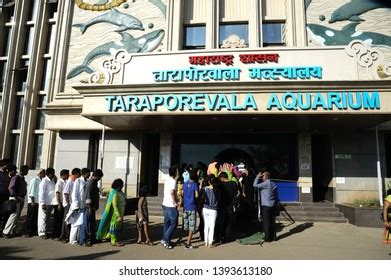 18 Taraporewala Aquarium Images, Stock Photos & Vectors | Shutterstock