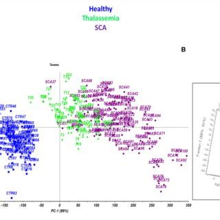 Scores Plot Performed By Pca A And Pls Da Model B On The Tg