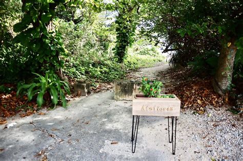 沖縄北部観光の穴場スポット！車で渡れる島、屋我地島に立ち寄ろう ゆるじゅんブログ