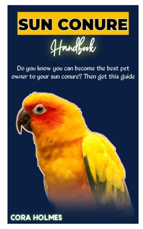 Buy Sun Conure Handbook The Ultimate Sun Conure Care Guide Book Online