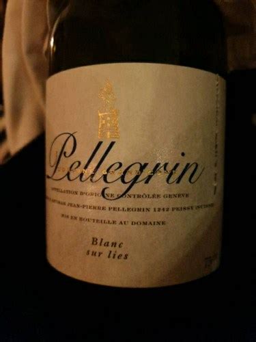 Domaine Grand Cour Pellegrin Sur Lies Blanc Vivino