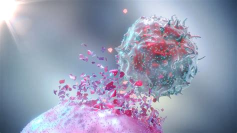 Immuno-Oncology Platforms