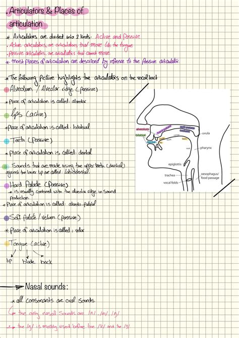 SOLUTION Phonetics Studypool