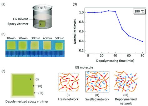 Depolymerization of epoxy vitrimer being immersed into EG at 180 °C ...