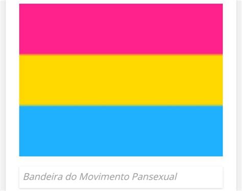 13 Bandeiras Que Representam Identidade Orientação Sexual Ou Gênero