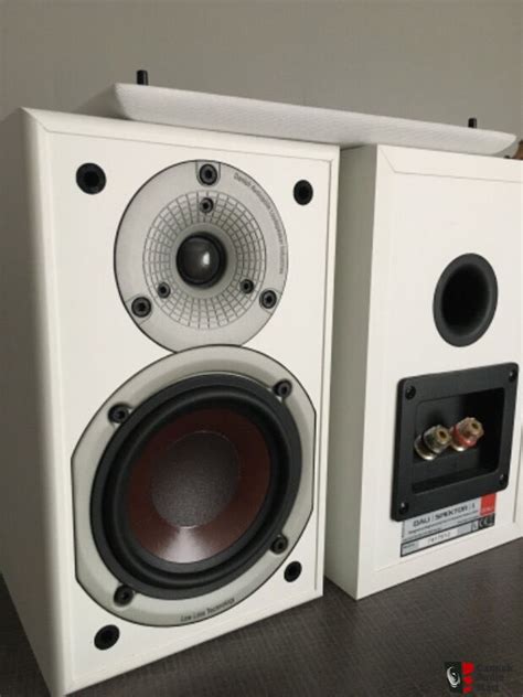Dali Spektor 1 - As new! Photo #4162399 - Canuck Audio Mart