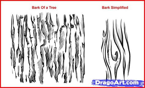 Tree Bark Drawing Texture - Merteberte