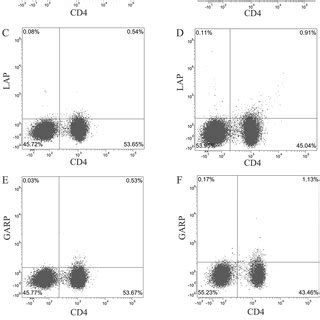 Gating Strategy Is Represented For Major Cell Type Assessed Using Flow