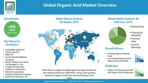 Organic Acid Market Size Forecast Report 2031