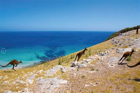 6 Days Kangaroo Island Adelaide Shared Tour