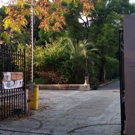 Paura In Una Scuola Media A Palermo Crolla Il Soffitto Di Una Stanza