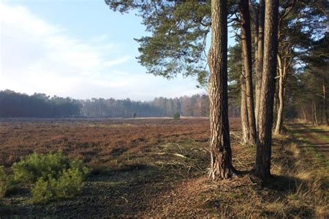 Natuurgebieden In Twente Camping De Rammelbeek