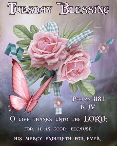 Pink Rose And Butterfly Tuesday Blessing Pictures Photos And Images