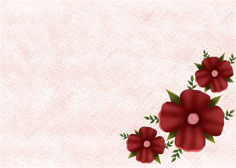 baground bunga merah background bunga mawar bunga merah baground