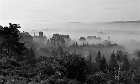 Free Images Landscape Tree Nature Forest Mountain Light Cloud