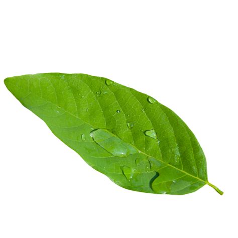 ECO4 Scheme Eligibility Criteria – Lamtans Engineering