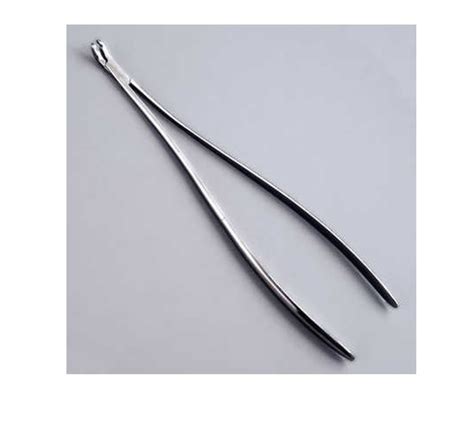 Stainless Steel Surgical Screw Holding Forceps At Best Price In Kanpur