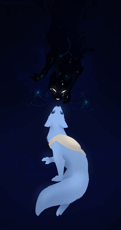 This Cat Owns The Night Watch Its Mysterious Supernatural Presence Unfold news