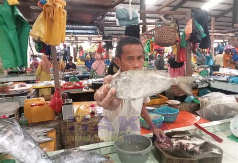 Bisa Sampai Rp 500 Ribu Per Kg Jelang Imlek Harga Ikan Dingkis Masih