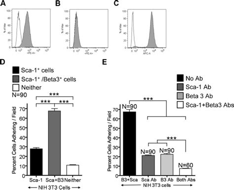 Representative Facs Profiles Showing The Expression Of A V Integrin