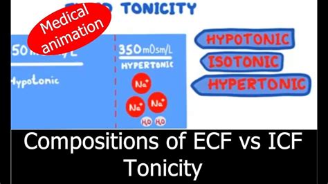 Tonicity Isotonic Hypotonic And Hypertonic Solutions Youtube