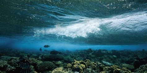 Incredible Footage Shows What Happens Underwater When an Earthquake Strikes