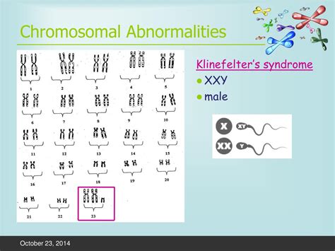 Ppt Sex Determination Nondisjunction Disorders Powerpoint