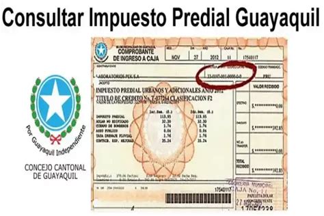 Consultar Impuesto Predial Guayaquil Pago 2024 Elyex